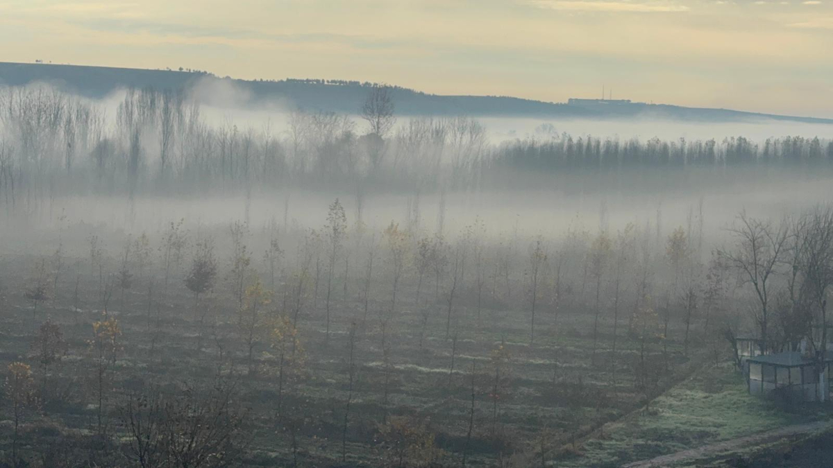 Diyarbakır Dicle Vadisi’nde sis manzarası