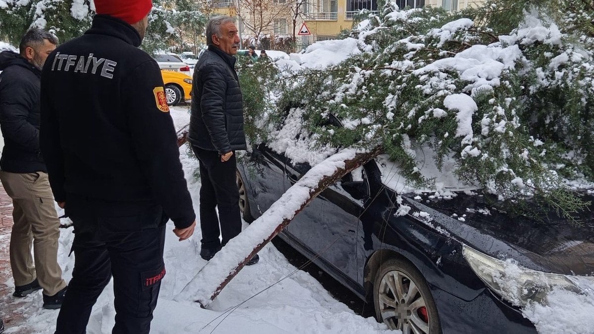 Siirt’te kar yüklü çam ağacı, otomobilin üzerine devrildi
