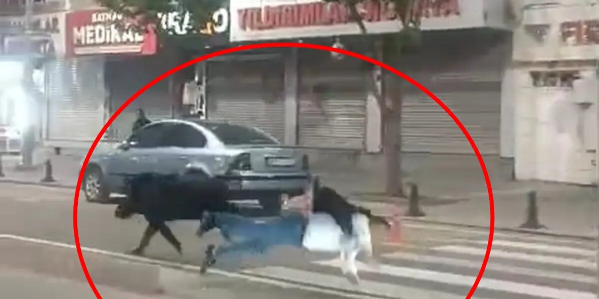 Şehir ortasında yaban domuzu paniği! 3 kişiye saldırdı