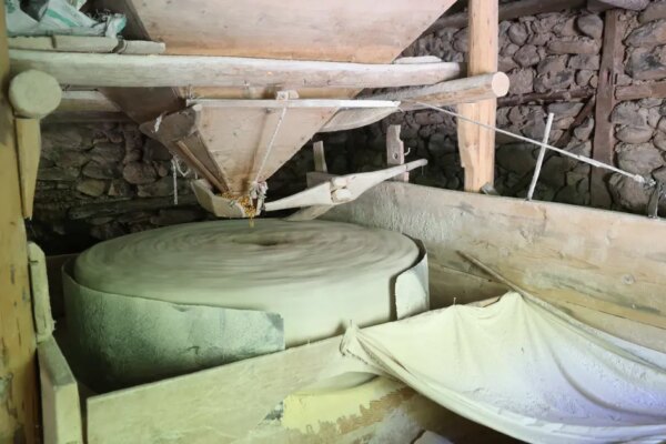 500 yıldır suyun gücüyle dönüyor. Unu yakmıyor, doğal şekilde öğütüyor
