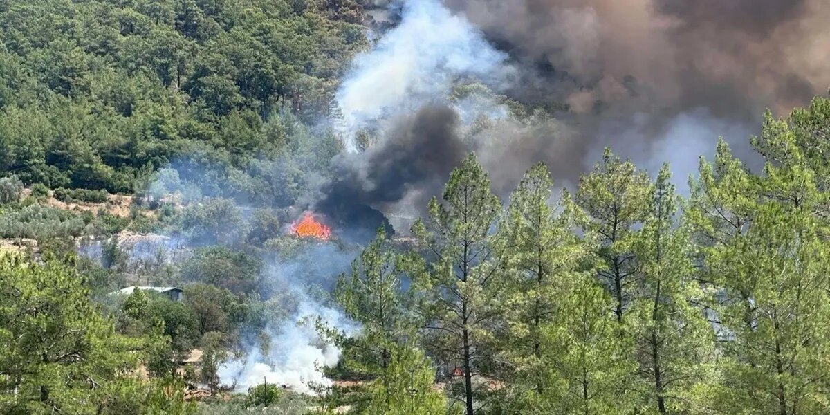 Muğla’da orman yangını. Bir mahalle tahliye edildi