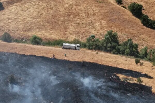 Tunceli’de otluk alandan ormana sıçrayan yangın söndürüldü