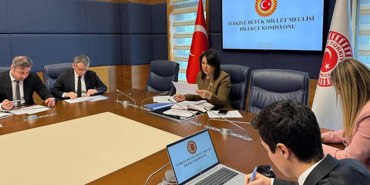 TBMM Dilekçe Komisyonu’na ilginç talepler. “İstanbul kışlık, Ankara yazlık başkent olsun”