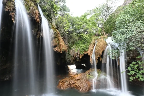Yaşam