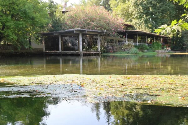 Adana’nın gizli cenneti Akyaka’yı aratmıyor. Doğal yaşamın tüm renkleri bir arada