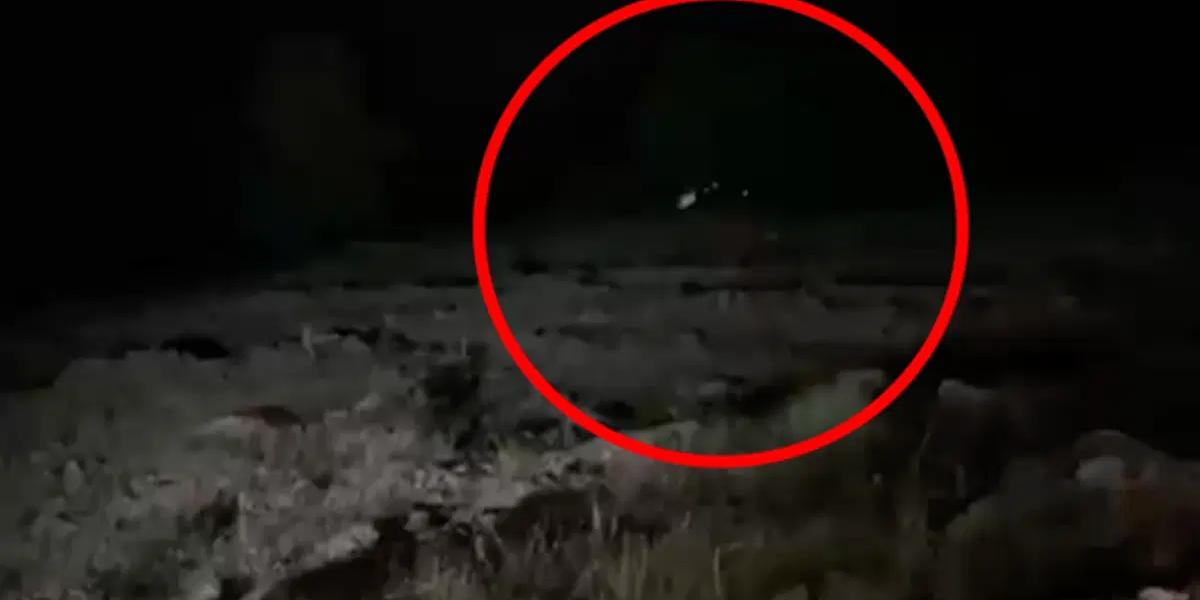Hafif ticari araç uçuruma yuvarlandı. 4 kişi öldü, 5 yaralı var
