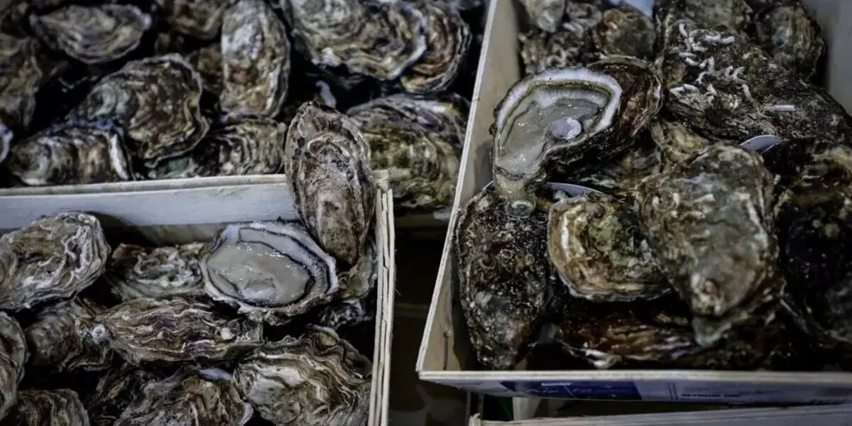 Avustralya’da 250 bin dolar değerindeki istiridyeler çalındı