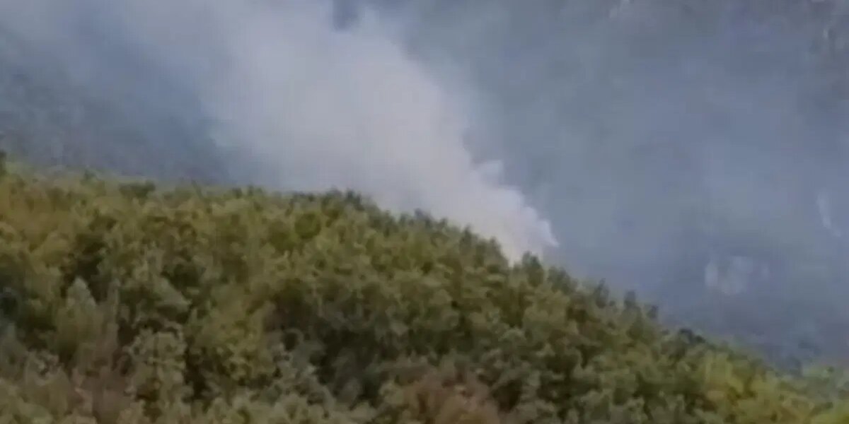 Hatay’daki orman yangını kontrol altında