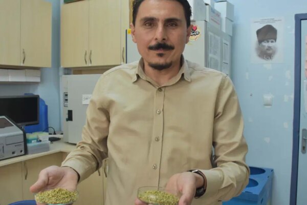 Yaşam