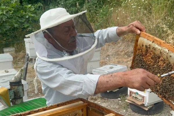 Hobi olarak başladı. Emekli başgardiyan ürettiği balı 20 yıldır Avrupa’ya gönderiyor
