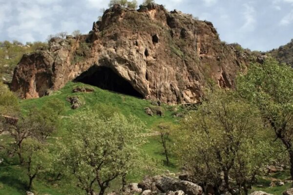 Yaşam